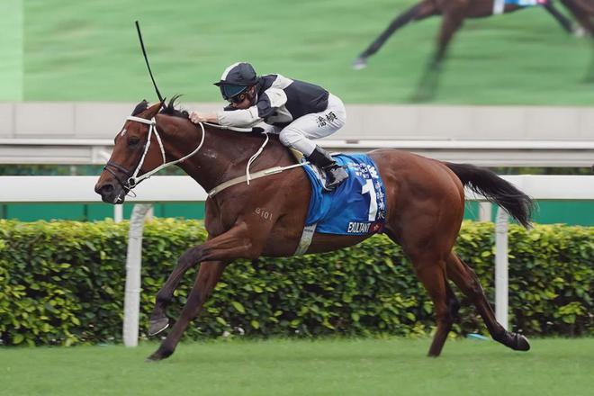 眼罩夺魁家族曾养香港马王J9国际集团王经纬赛驹戴(图4)